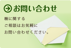 お問い合わせ　樹に関するご相談はお気軽にお問い合わせください